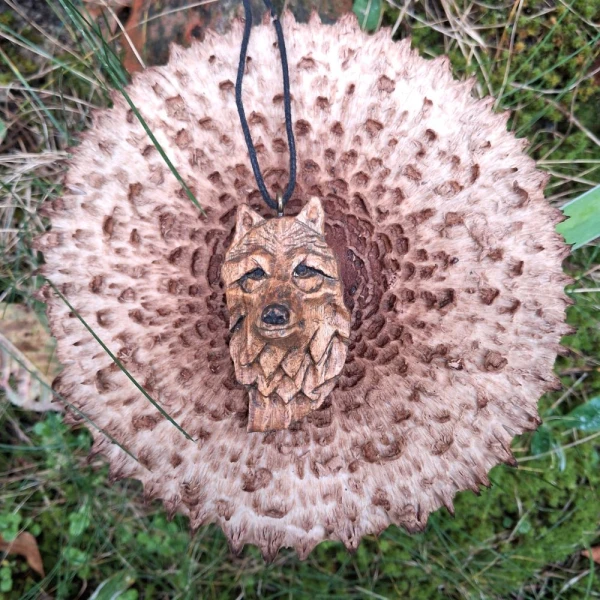 Strażnik Północy / Guardian of the North